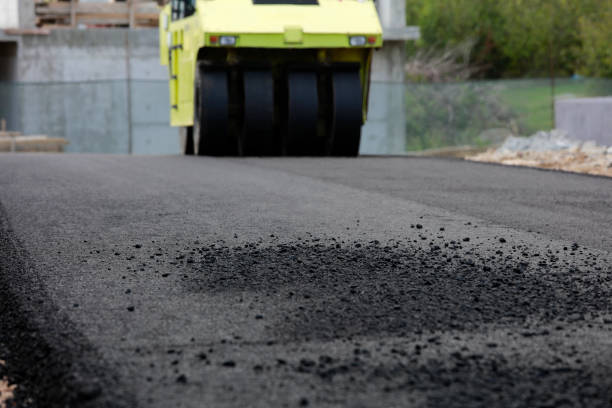 Best Professional Driveway Pavers  in Chittenango, NY