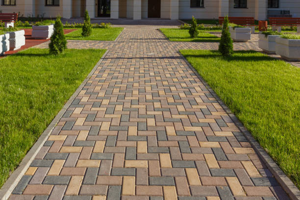 Best Local Driveway Pavers  in Chittenango, NY